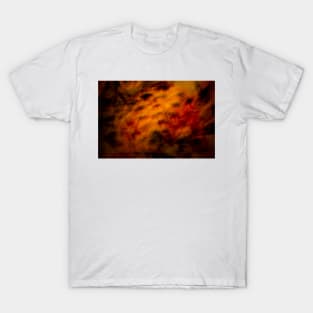 Mysterious lines T-Shirt